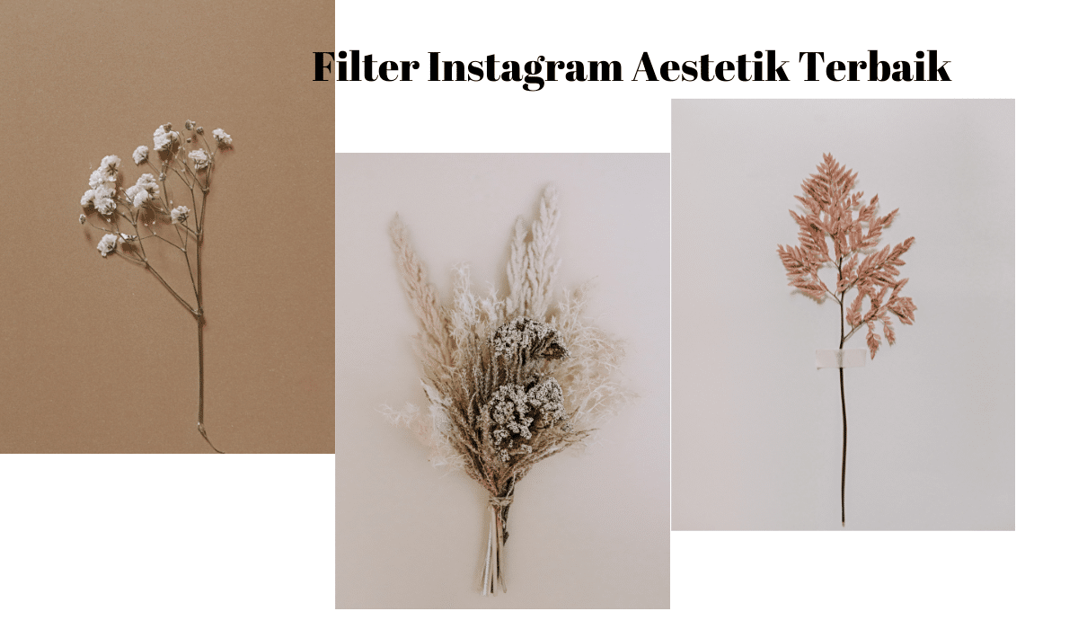 Filter Instagram Aestetik Terbaik